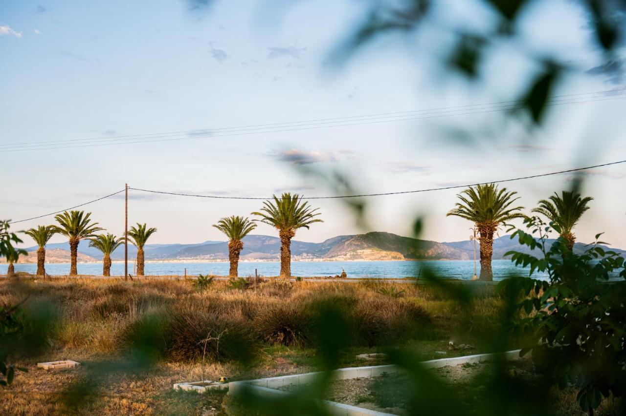 Sea View Residence Nea Kios Bagian luar foto