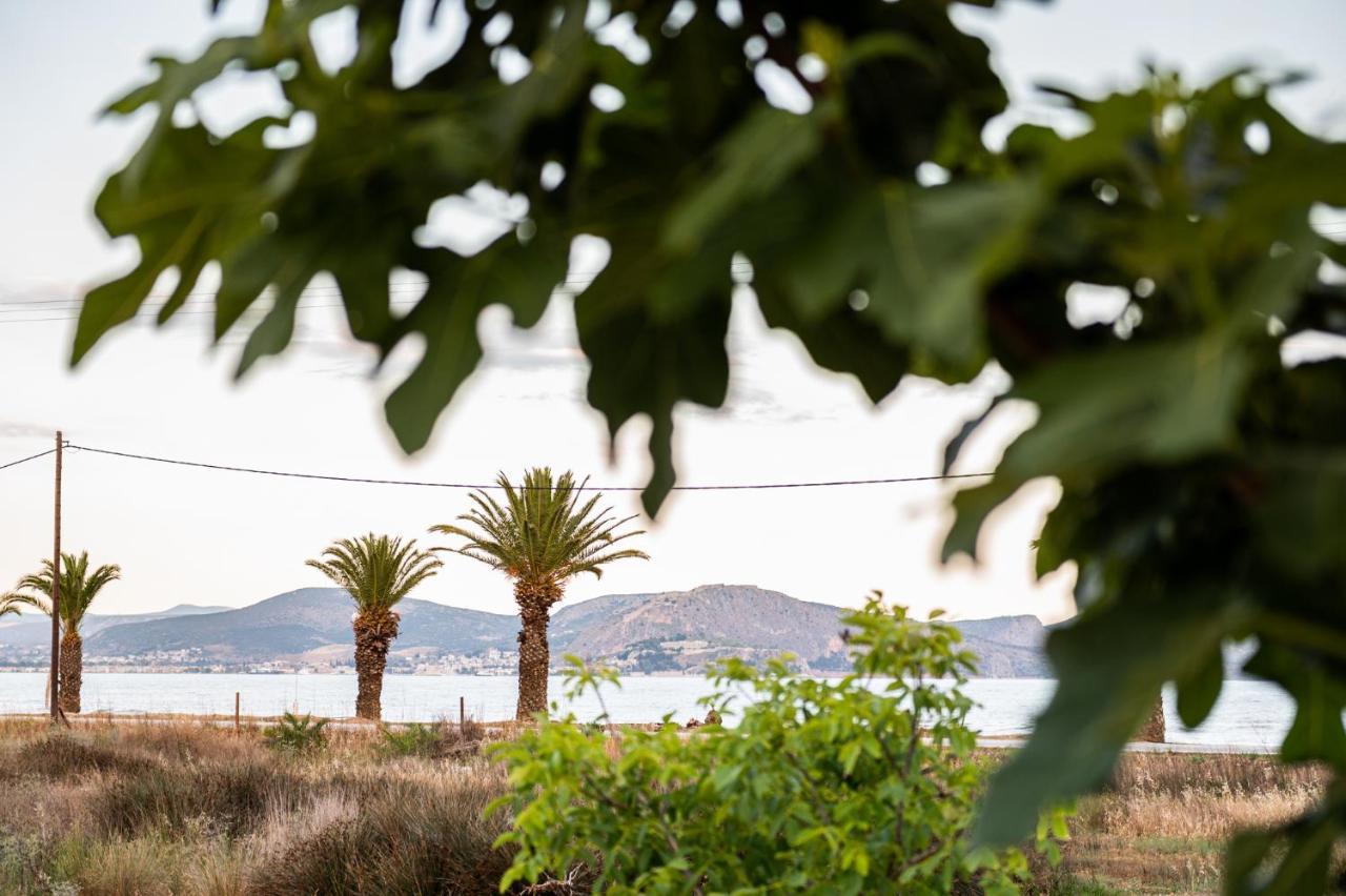 Sea View Residence Nea Kios Bagian luar foto